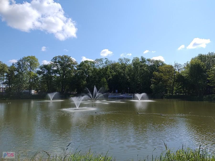 Staw w Ołtarzewie