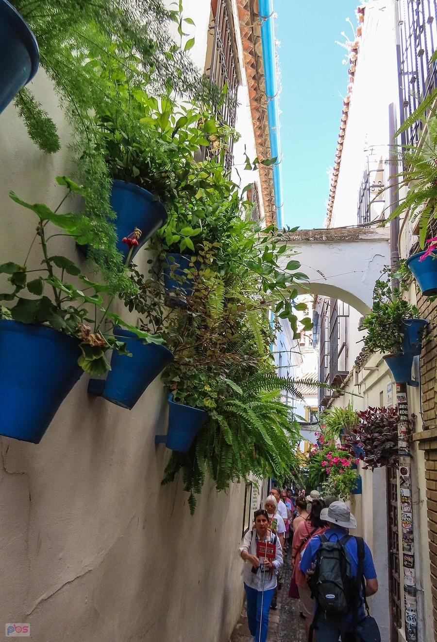 Kordoba - Calleja de las Flores