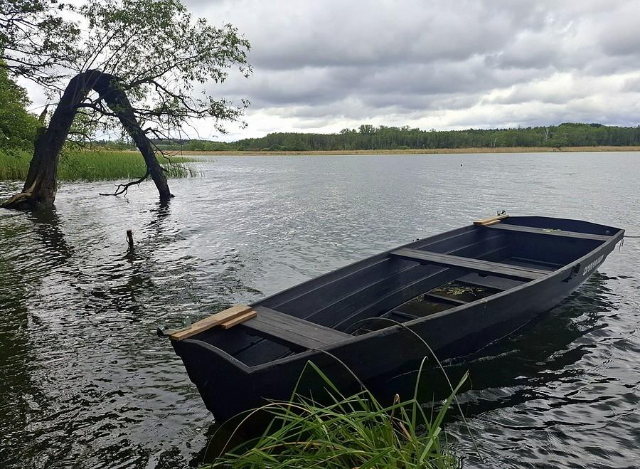 Kadr znad Jeziora Lusowskiego