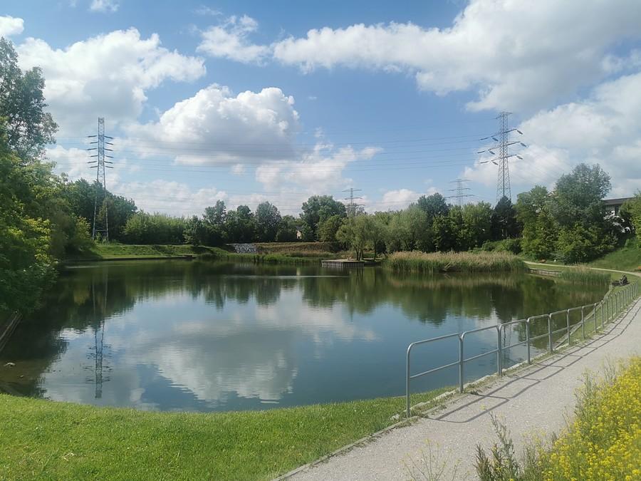 Zagrały w filmie "Miś"