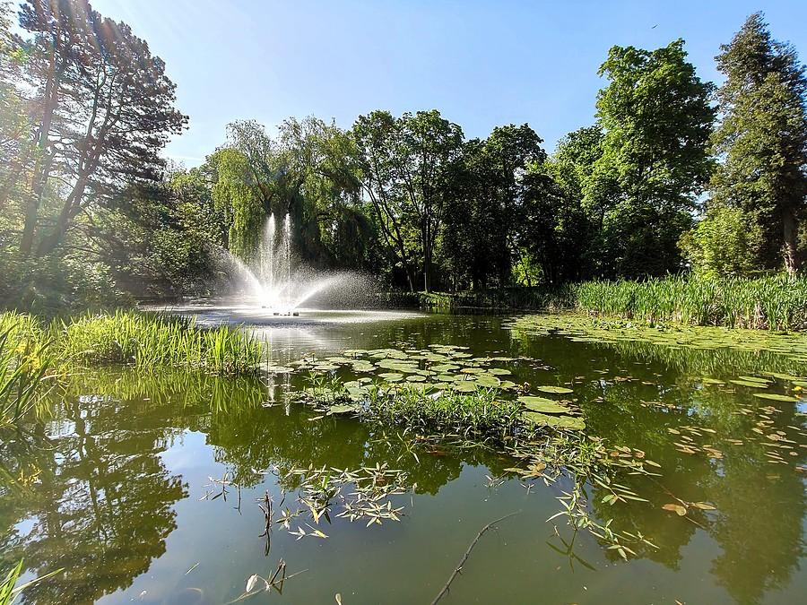 Park Staszica w soczystej, wiosennej zieleni.