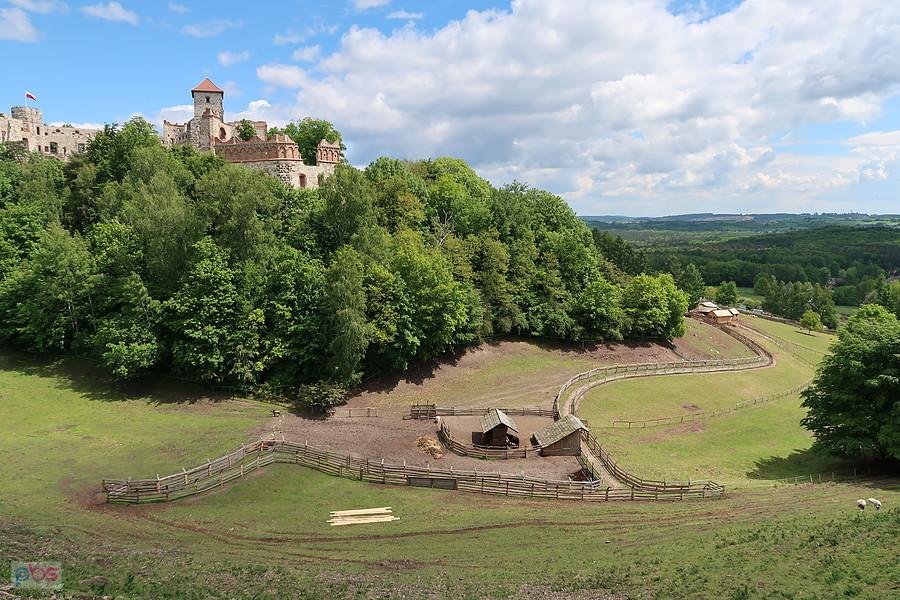 Zamek Tenczyn