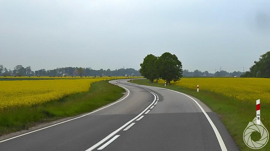 DK22 z Malborka na Elbląg
