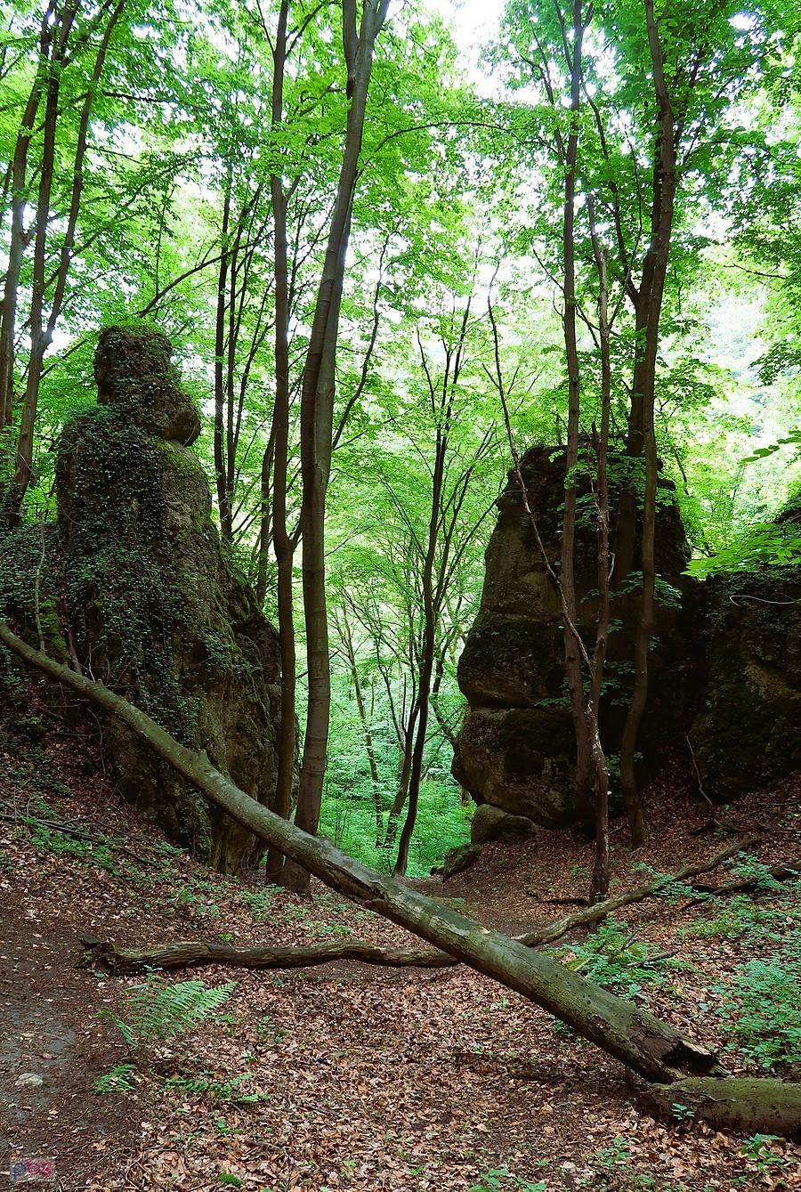 Skały w Dolinie Mnikowskiej
