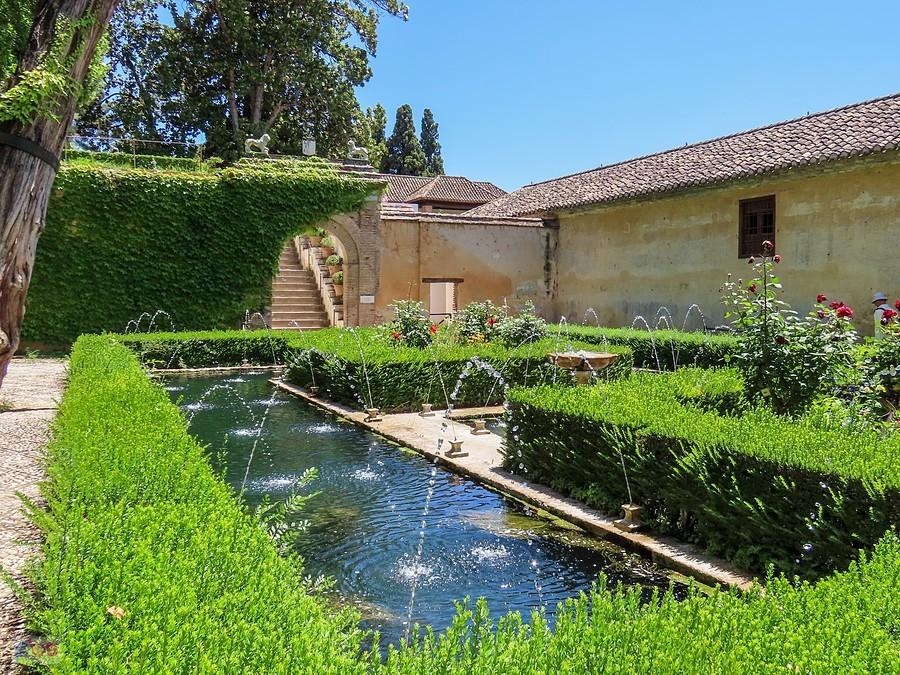 Na Patio de la Acequia kanały obsadzone są krzewami mirtu