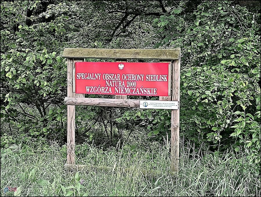 Wzgórza Niemczańskie
