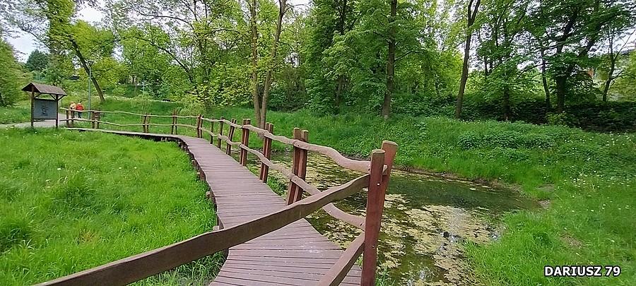 Będzin - Park Krakowska