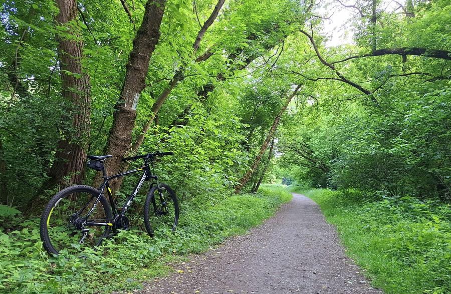 Tu Rowerowy Poznań chce mieć pustynię i betonową Wartostradę