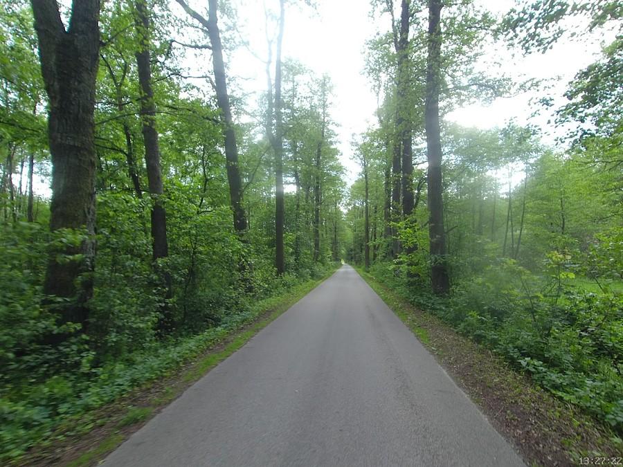 Brzozówka - Wiersze