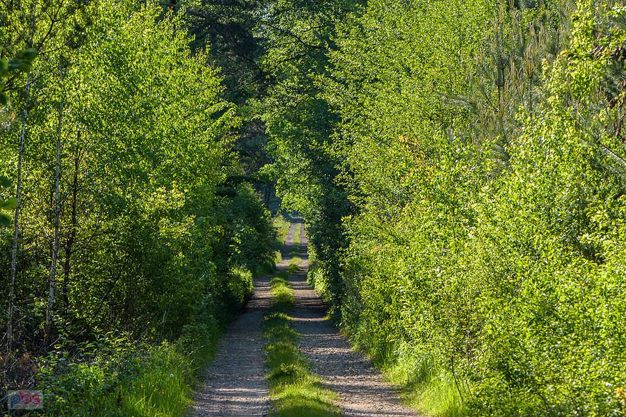 Park Krajobrazowy "Stawki" - gmina Przyrów