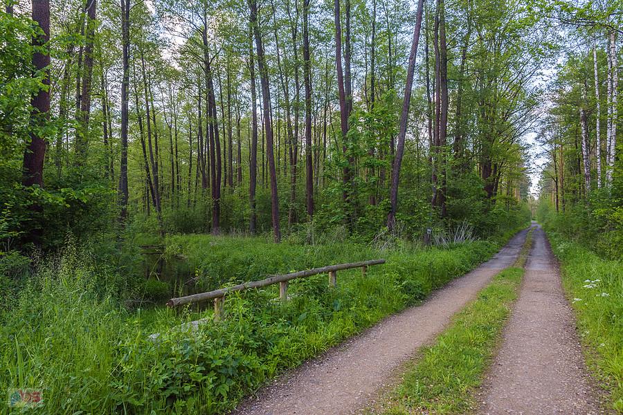 Park Krajobrazowy "Stawki" - gmina Przyrów