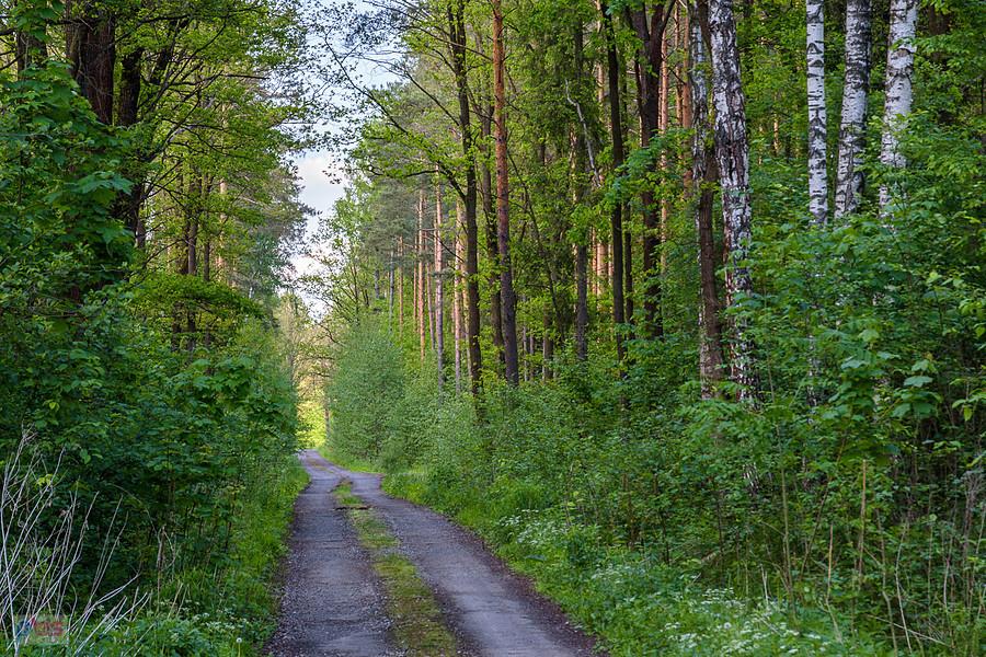 Park Krajobrazowy "Stawki" - gmina Przyrów