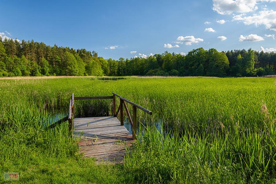 Park Krajobrazowy "Stawki" - gmina Przyrów
