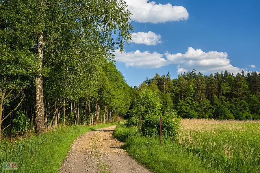 Park Krajobrazowy "Stawki" - gmina Przyrów