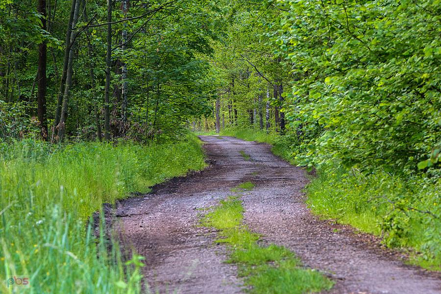 Park Krajobrazowy "Stawki" - gmina Przyrów
