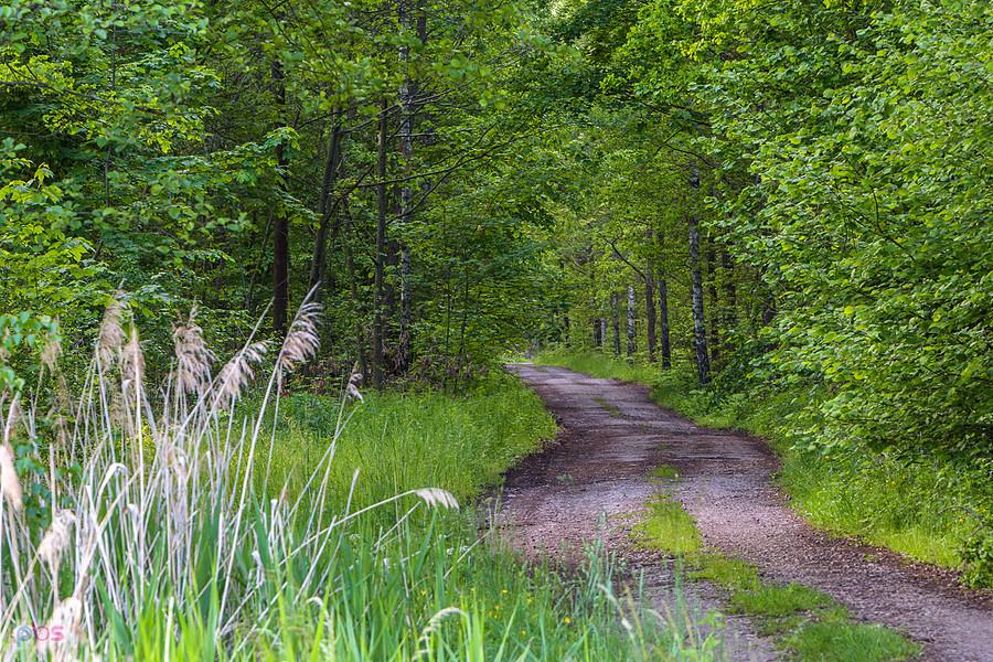 Park Krajobrazowy "Stawki" - gmina Przyrów