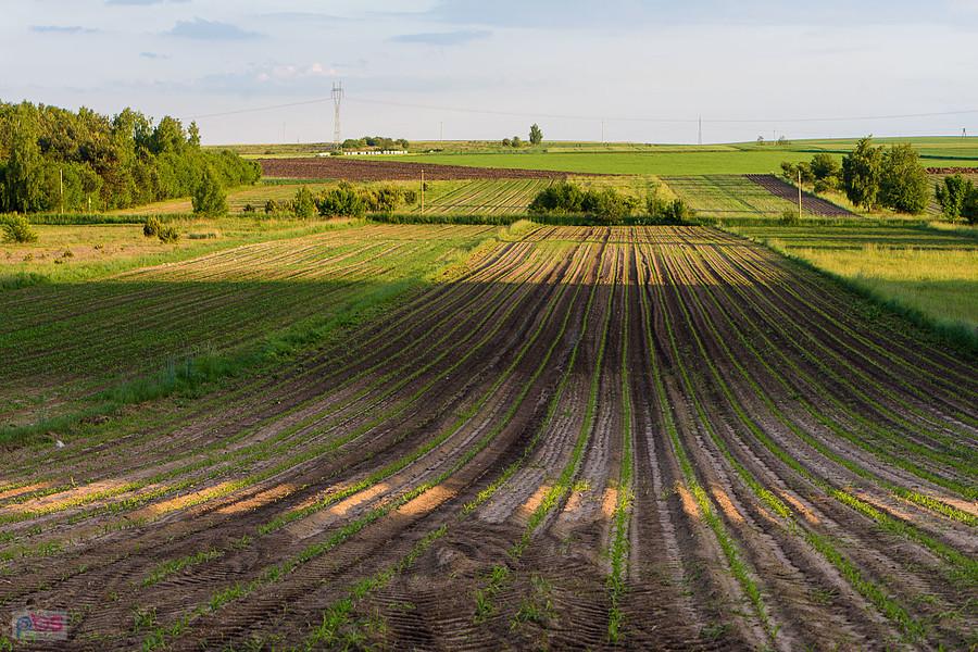 Kobyłczyce