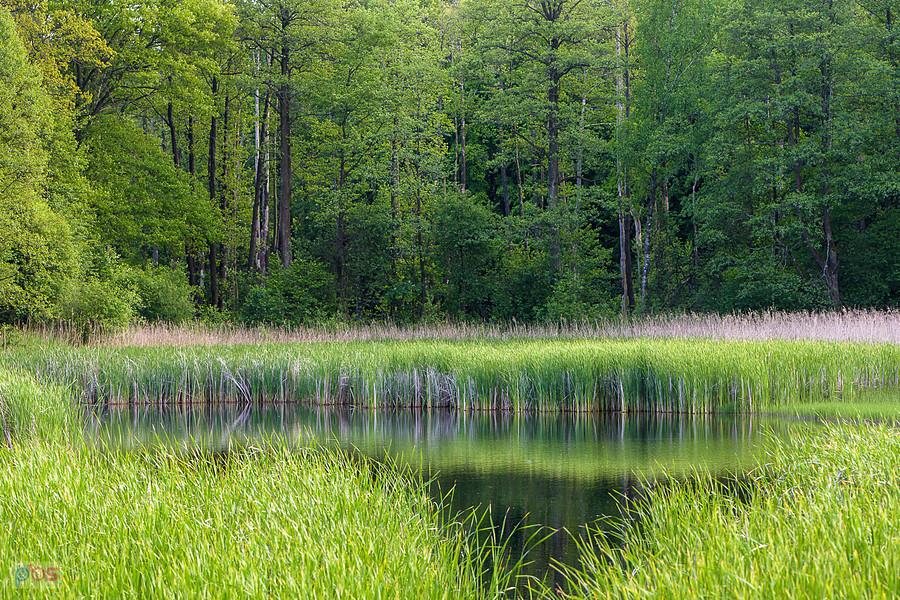Park Krajobrazowy "Stawki" - gmina Przyrów