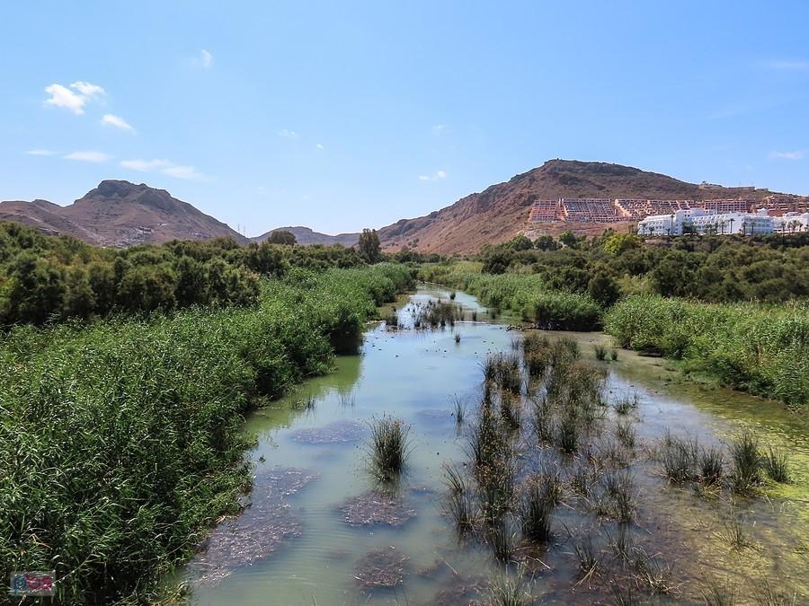 Rio Aguas o tej porze wysycha, ale przed ujściem do morza utworzył się staw
