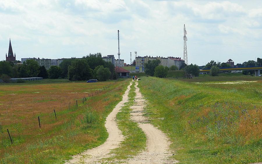 Widok z łąk