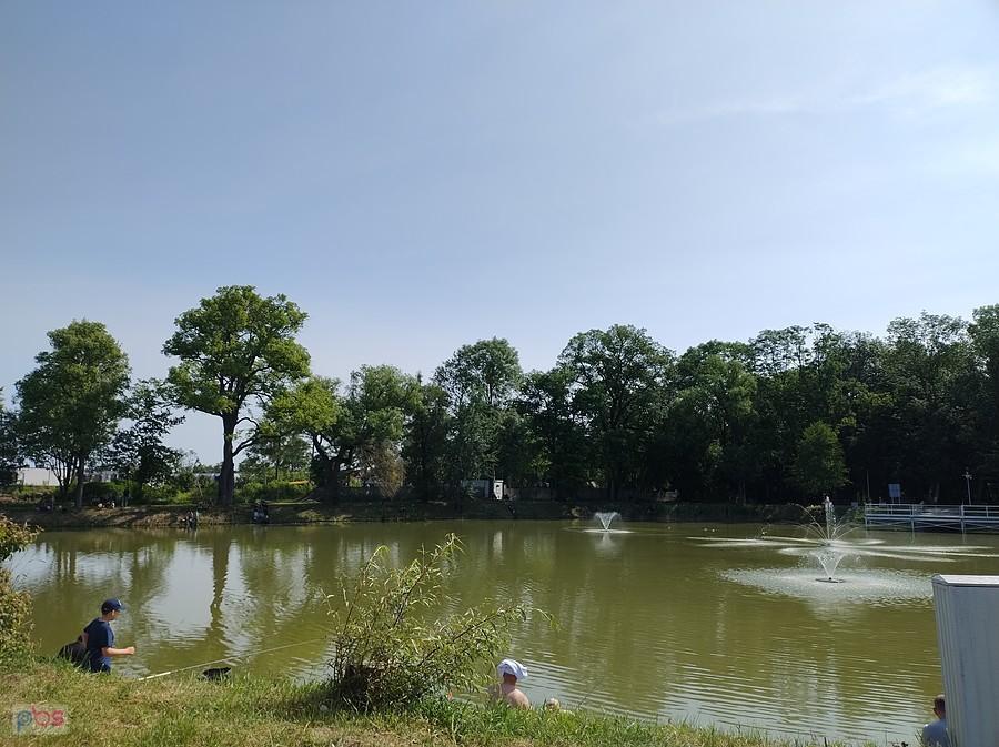 Staw w Ołtarzewie