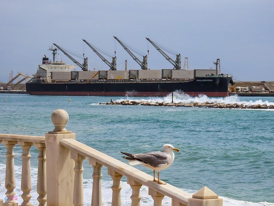 Port w Garrucha - widok z deptaka