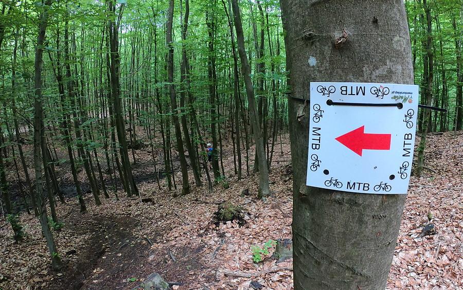 Trasa częściowo jest oznakowana