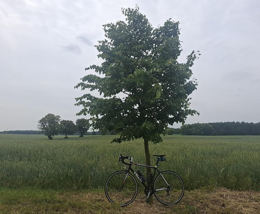 Szaro i niewyraźnie