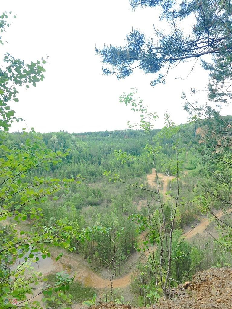 mocno zarośnięte