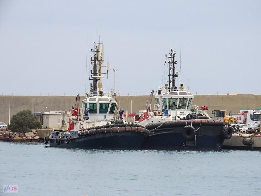 Holowniki portowe