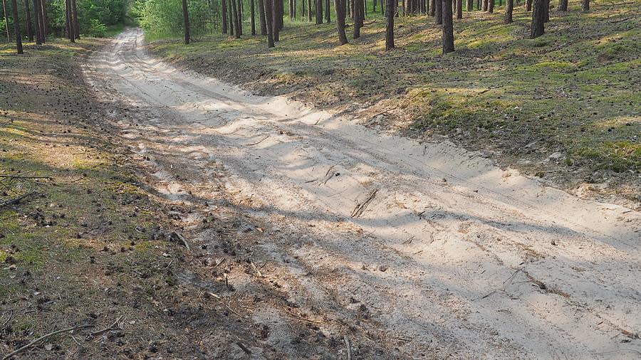 Odpowiedź na pytanie o przejezdność leśnych dróg