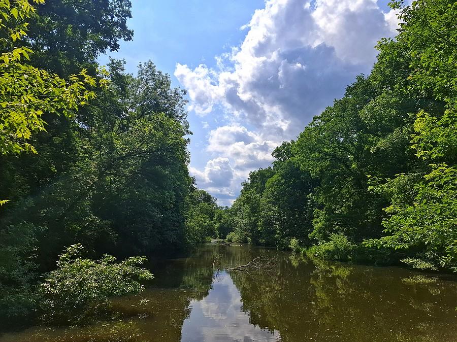 Kolorowa Dębina