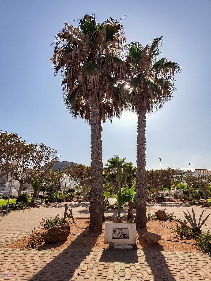 Paseo de los jardines