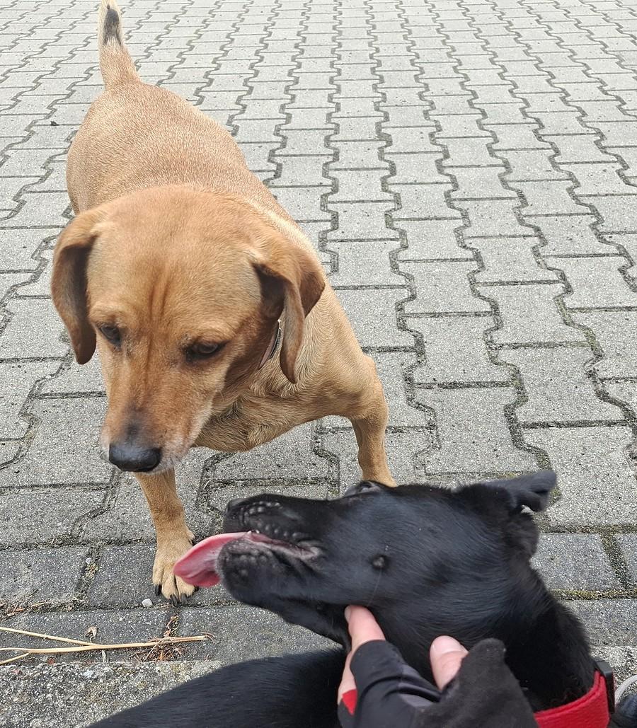 Nierozłączny już duet