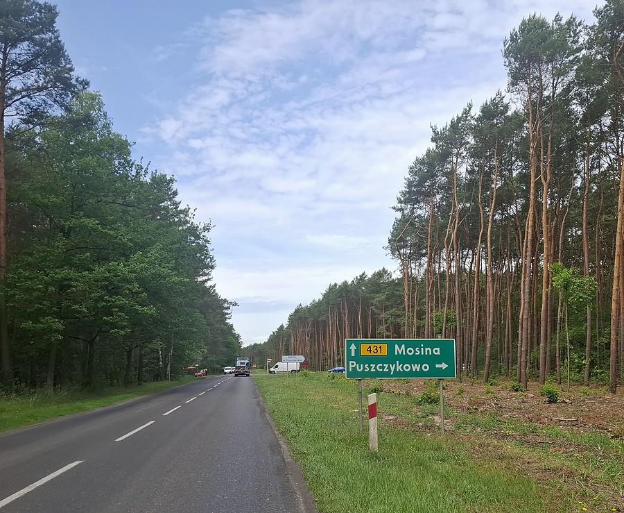 Tu były drzewa... :(