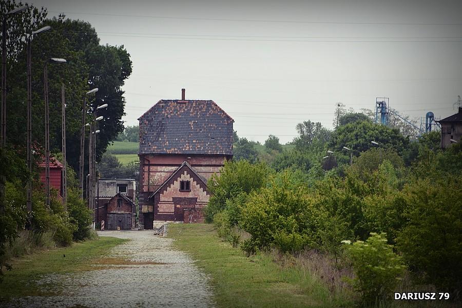 Polska Cerekiew