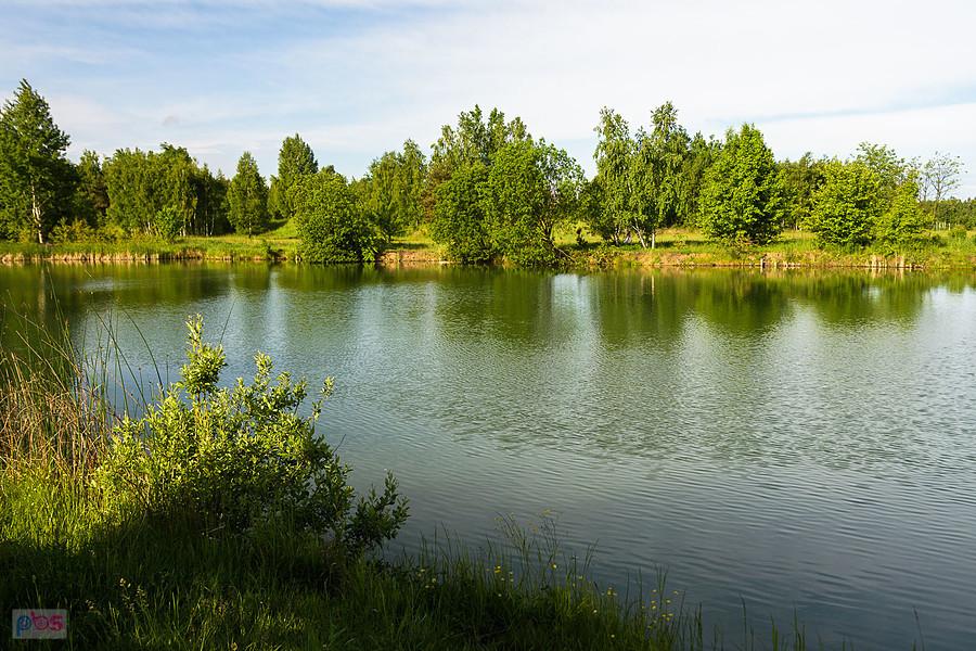 Staw przy ul. Łąkowej - dzielnica Gnaszyn-Kawodrza, Częstochowa