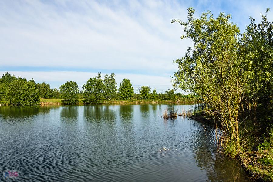 Staw przy ul. Łąkowej - dzielnica Gnaszyn-Kawodrza, Częstochowa