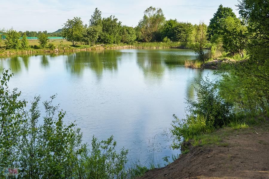 Staw przy ul. Łąkowej - dzielnica Gnaszyn-Kawodrza, Częstochowa