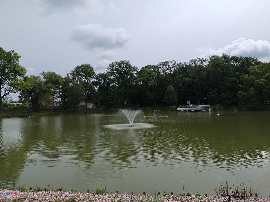 Staw w Ołtarzewie