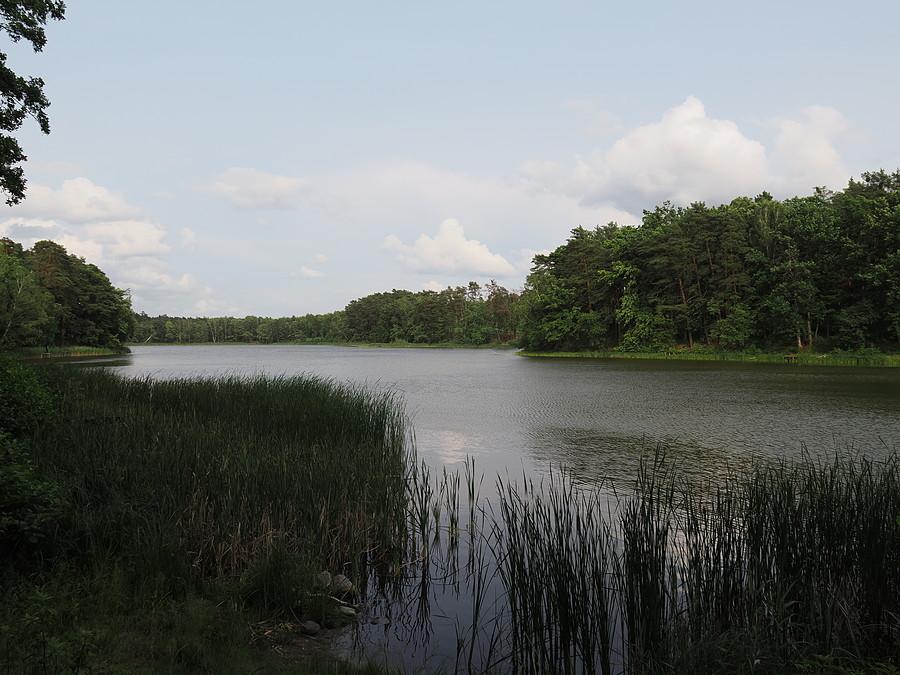 Jezioro Rzepsko