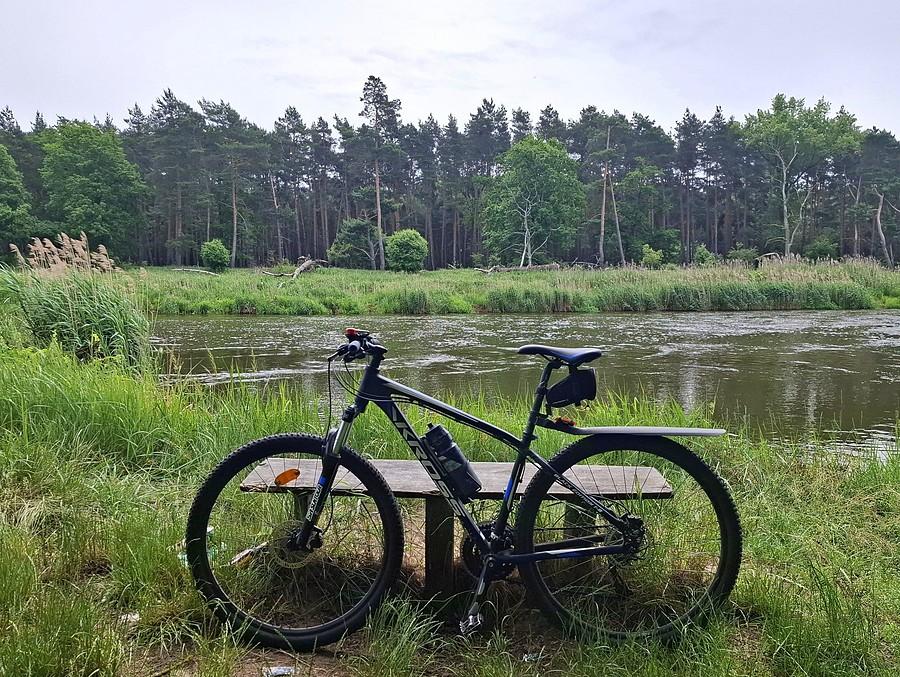Rowerówka znad Warty