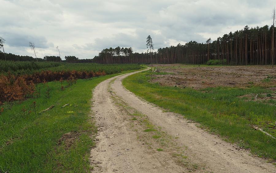 Przy pogorzelisku