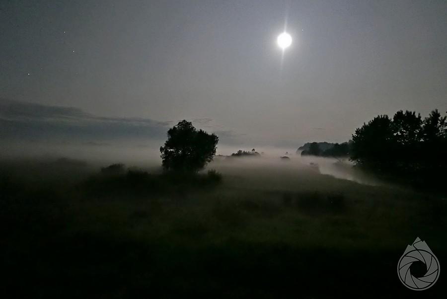 Wieprz nocą