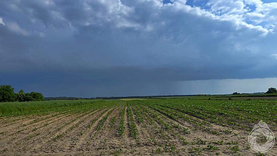 front burzowy nad Zamojszczyzną