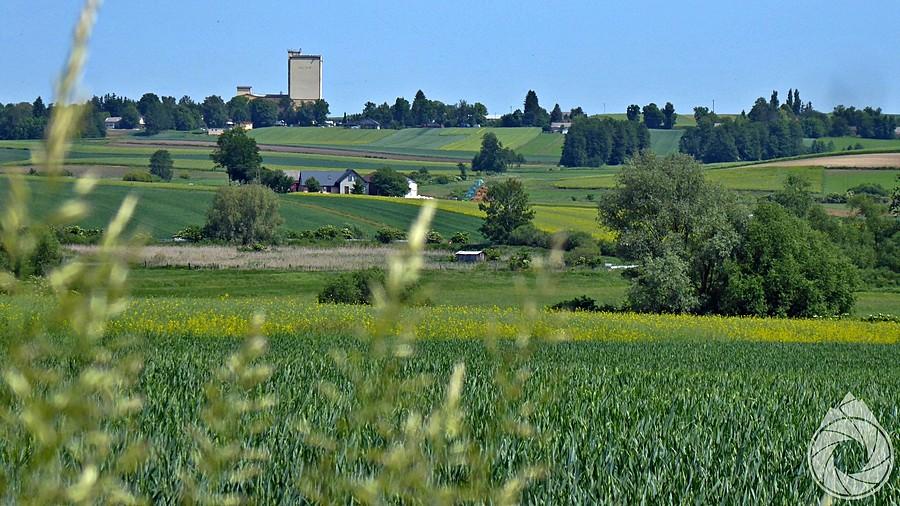 sillsy i pola - Roztocze