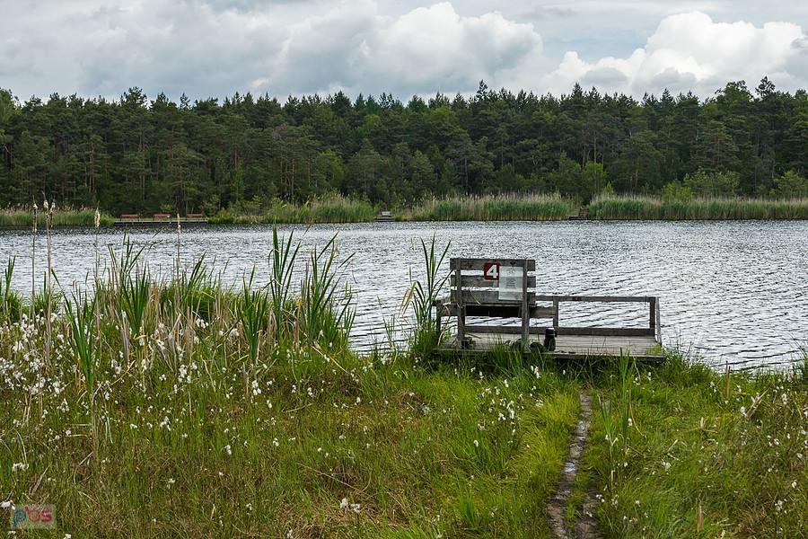 Bagno w Jeziorze