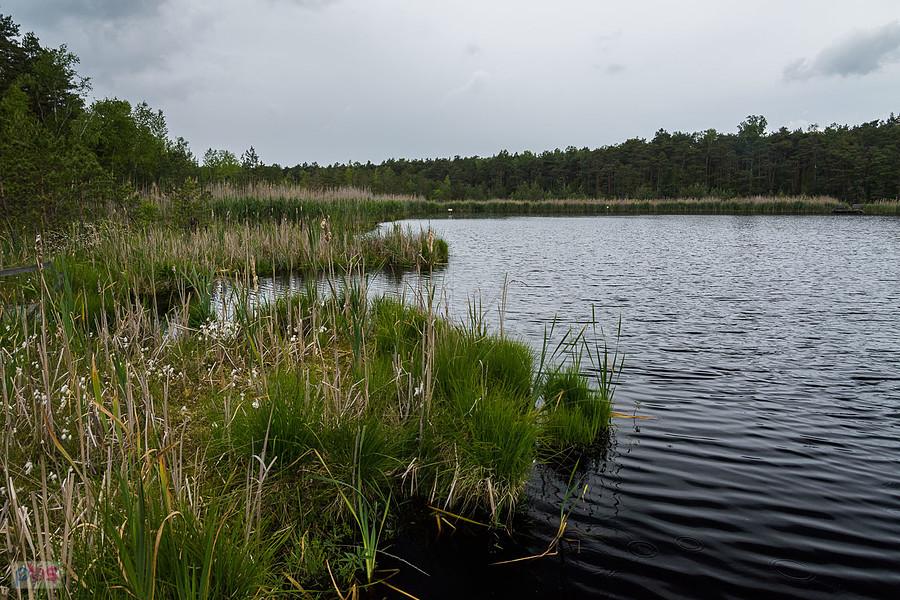 Bagno w Jeziorze, zaczęły spadać pierwsze krople deszczu