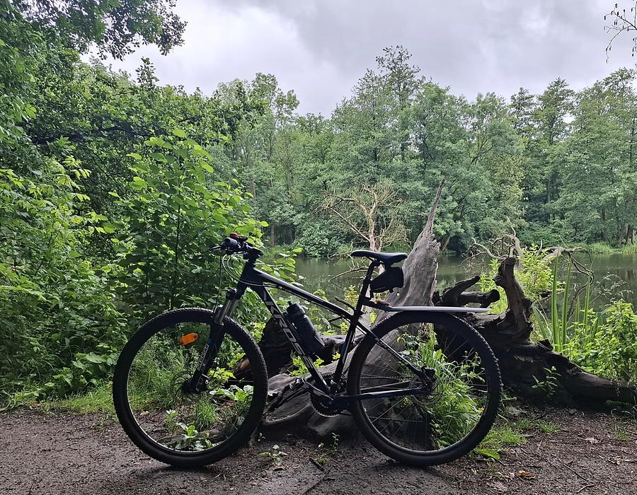 MTB na Dębinie