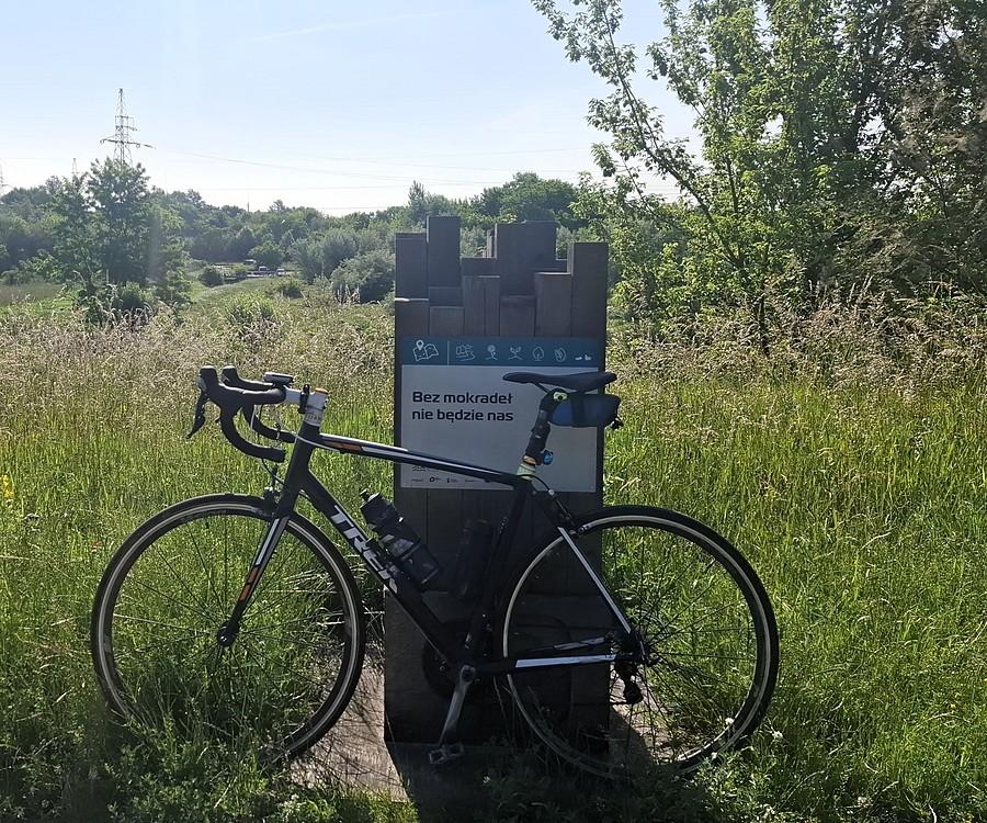Rowerówka znad Wartostrady
